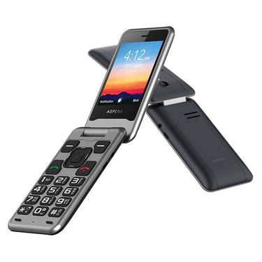 Aspera F42 4G Flip Keypad Smartphone - Titanium